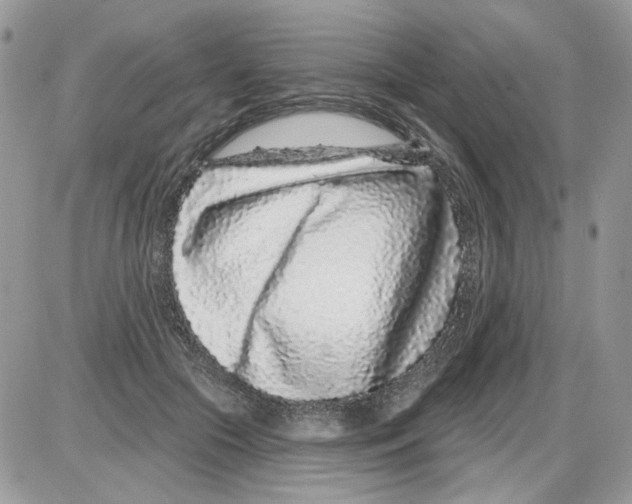 X0000086100553200704202243