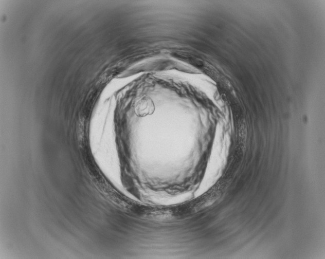 X0000086100554200704202244