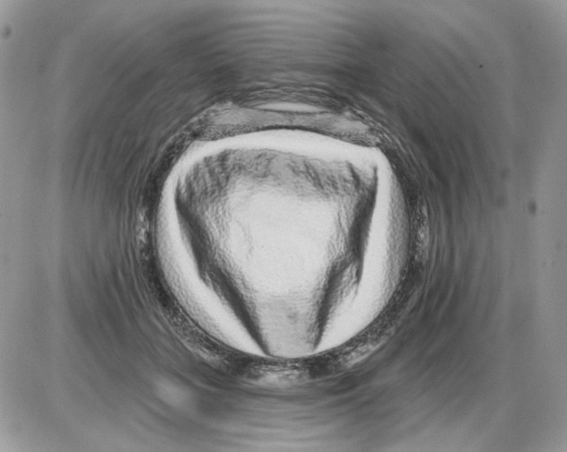 X0000086100555200704202244