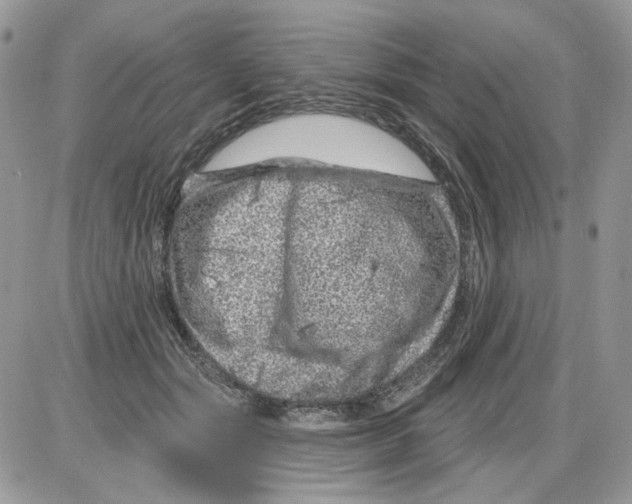 X0000086100557200704202244
