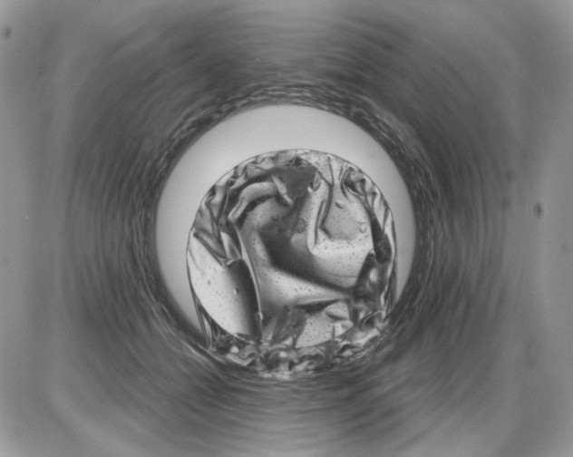 X0000086100558200704202244