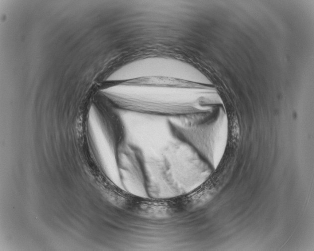 X0000086100559200704202244