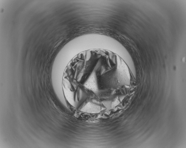 X0000086100560200704202244