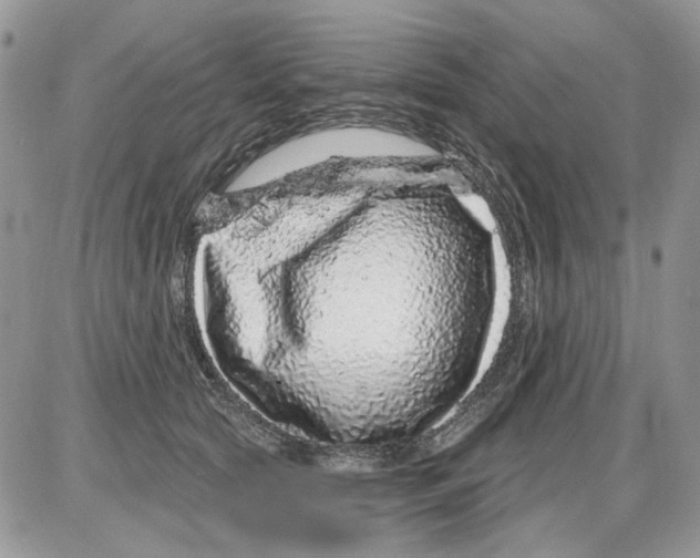 X0000086100561200704202244