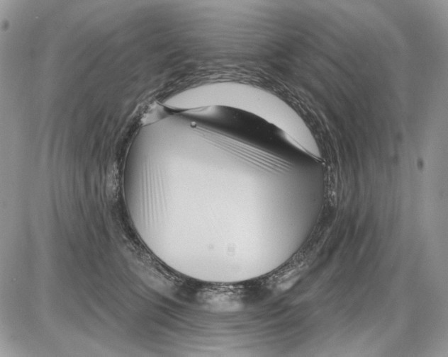 X0000086100563200704202244