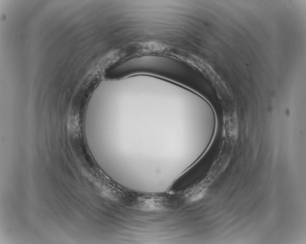 X0000086100564200704202244