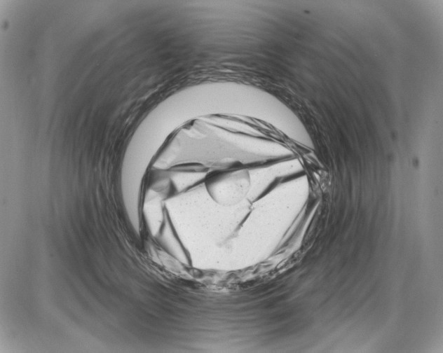 X0000086100566200704202244