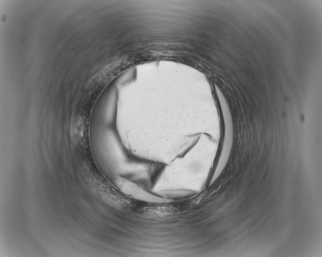 X0000086100567200704202244