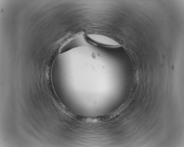 X0000086100570200704202244
