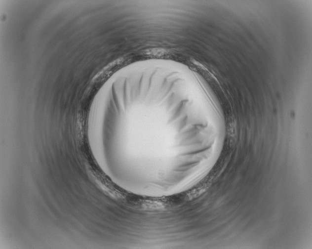 X0000086100572200704202244