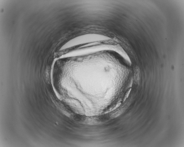 X0000086100573200704202244