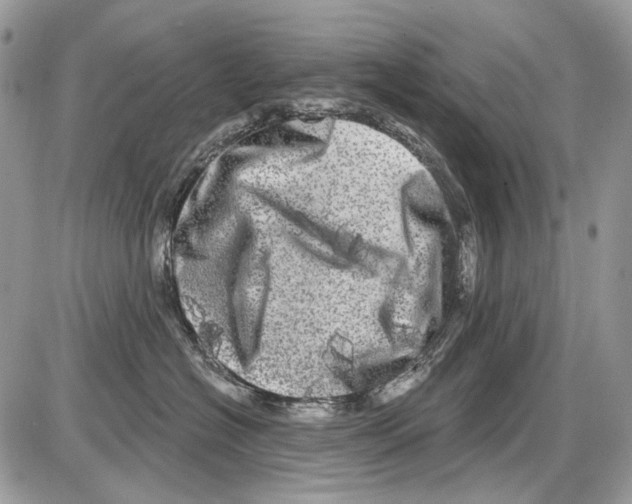 X0000086100574200704202244