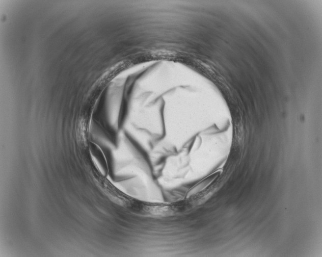 X0000086100575200704202244