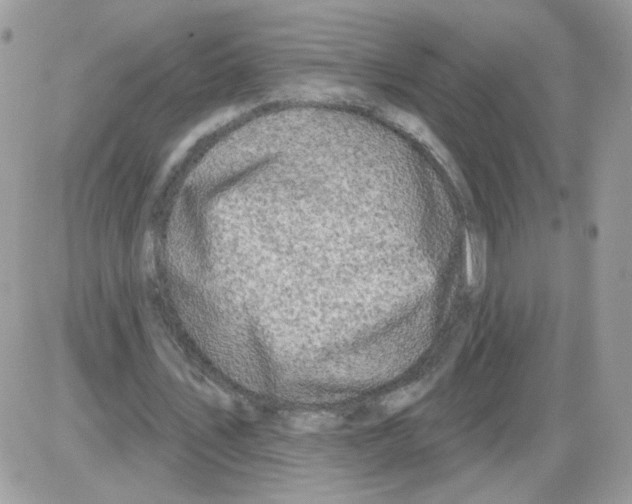 X0000086100579200704202243