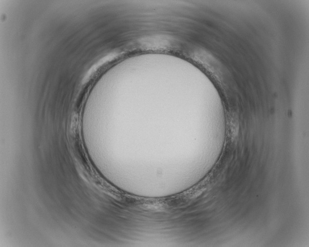 X0000086100583200704202243
