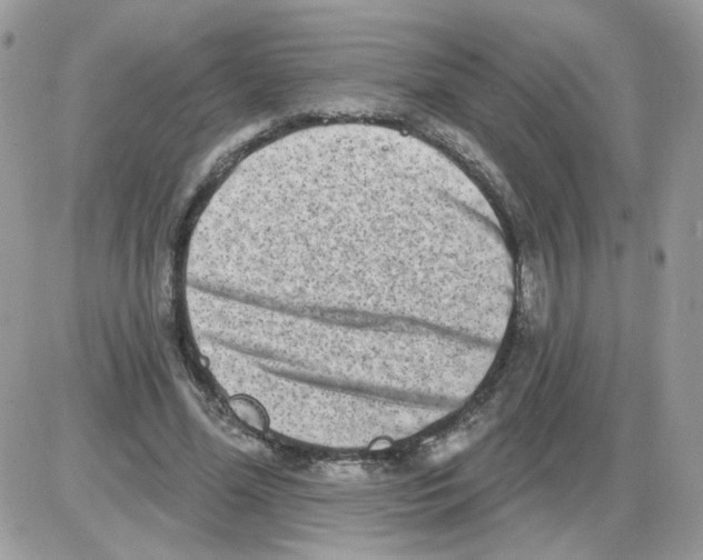 X0000086100588200704202243
