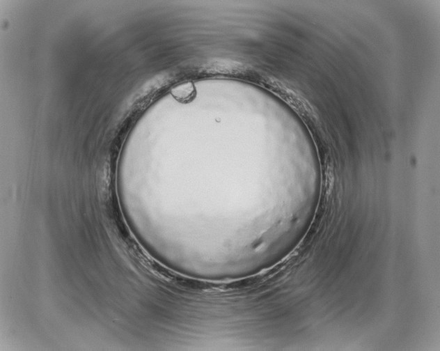 X0000086100591200704202243