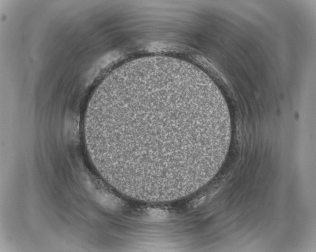 X0000086100592200704202243