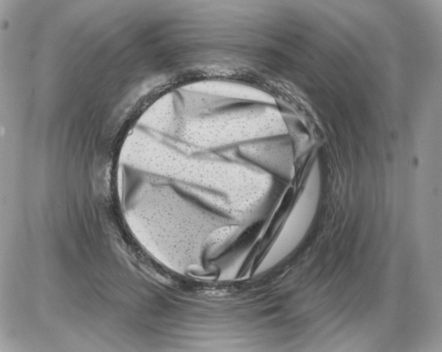 X0000086100596200704202243