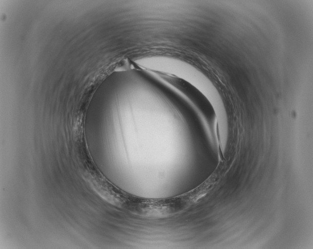 X0000086100601200704202243