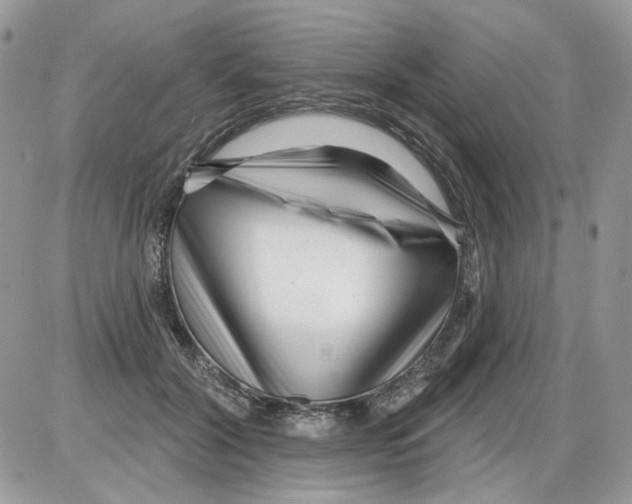 X0000086100604200704202243