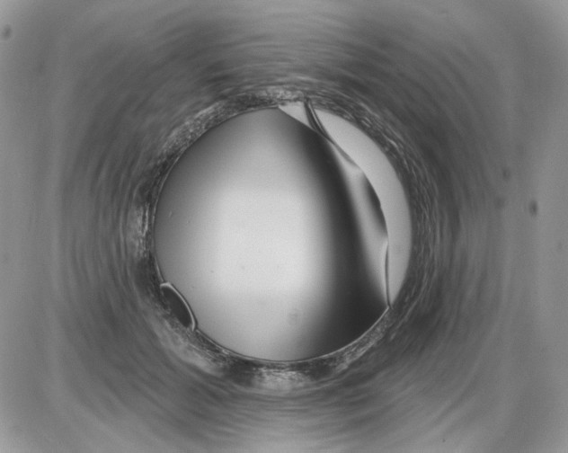 X0000086100605200704202243