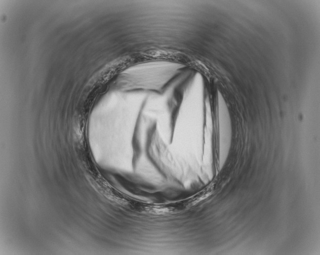 X0000086100607200704202243