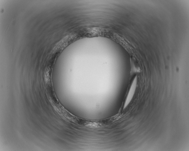 X0000086100611200704202243