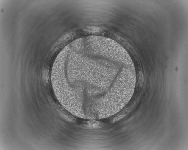 X0000086100612200704202243