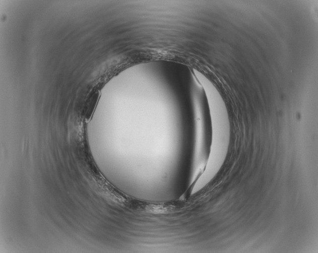 X0000086100613200704202243