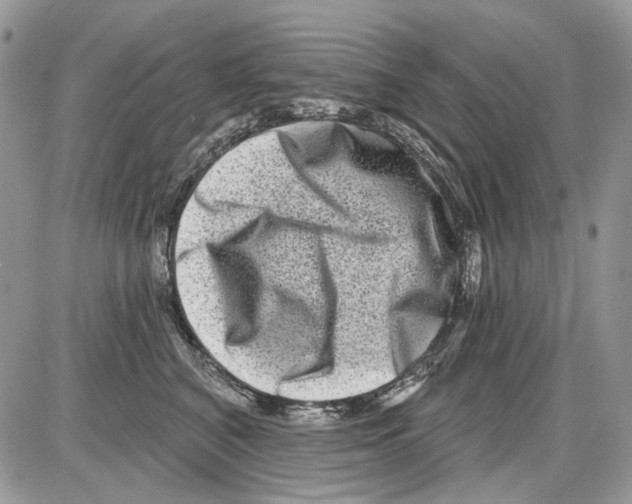 X0000086100616200704202242