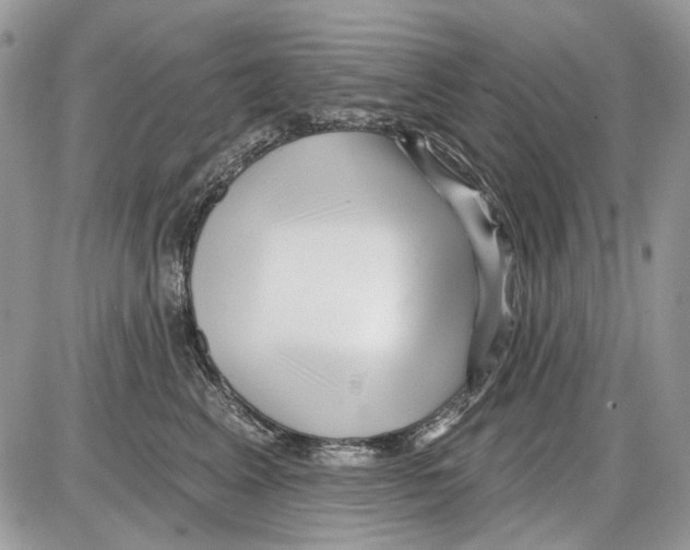 X0000086100617200704202242