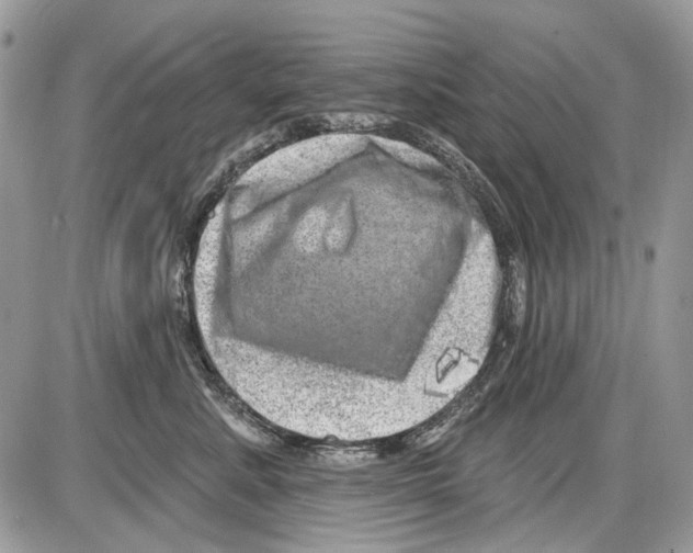 X0000086100619200704202242