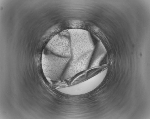 X0000086100620200704202242