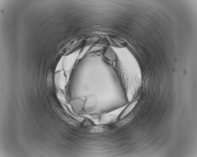 X0000086100623200704202242