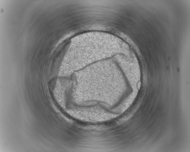 X0000086100625200704202242