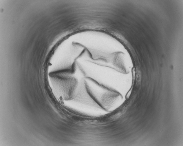 X0000086100626200704202242