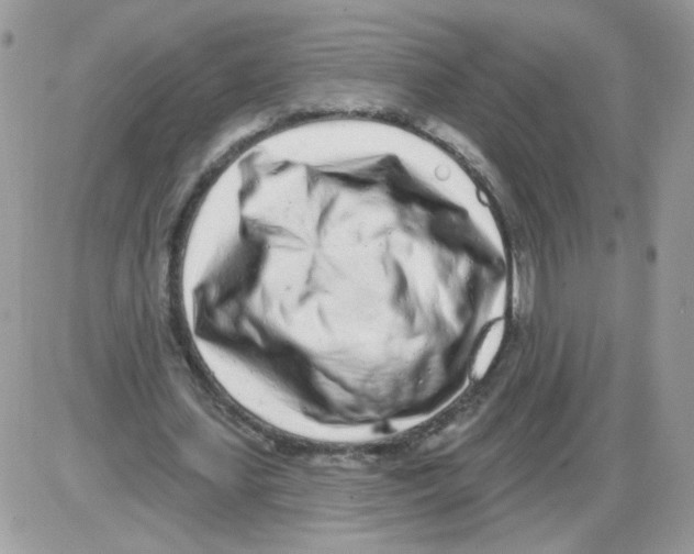 X0000086100627200704202242