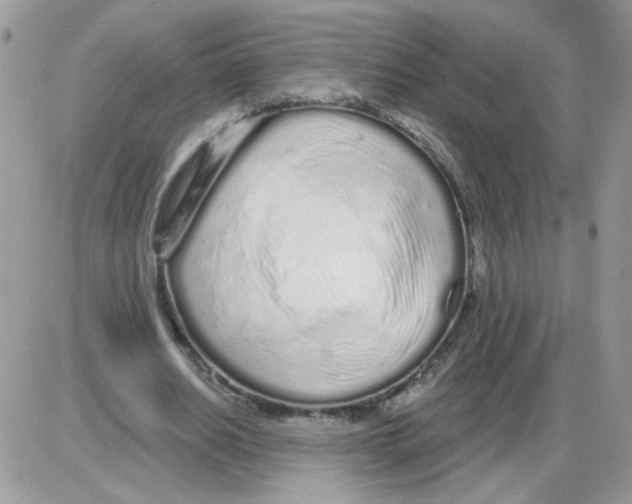X0000086100630200704202242