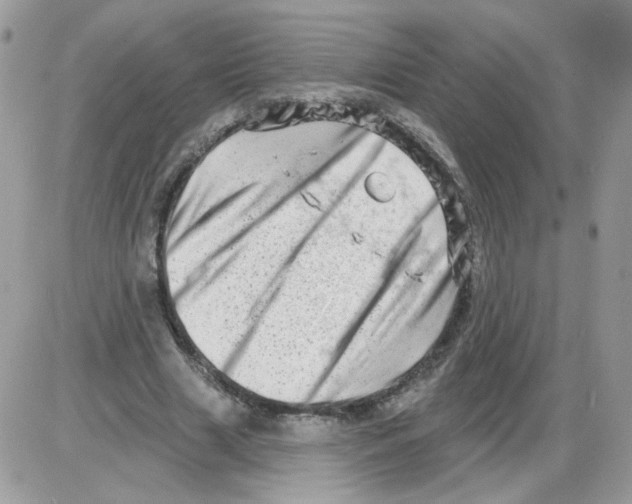X0000086100633200704202242