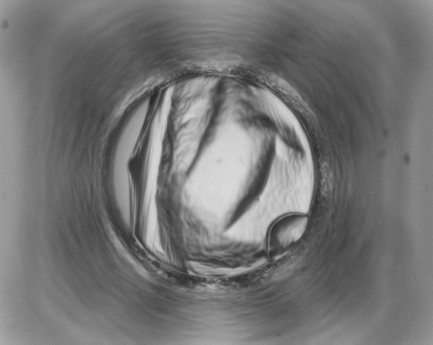 X0000086100634200704202242