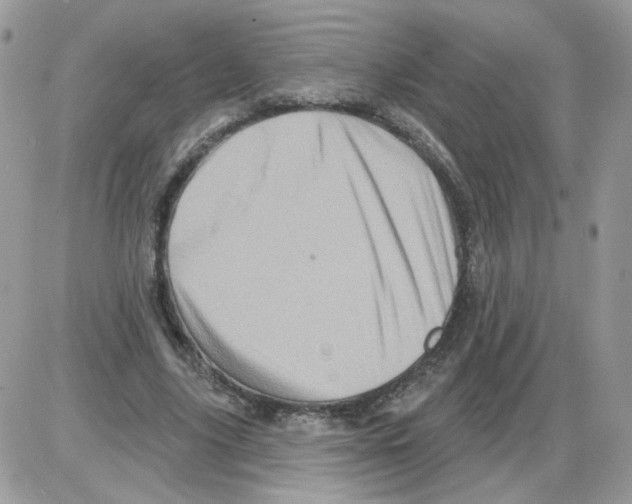 X0000086100635200704202242