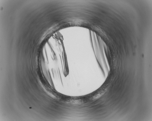 X0000086100638200704202242