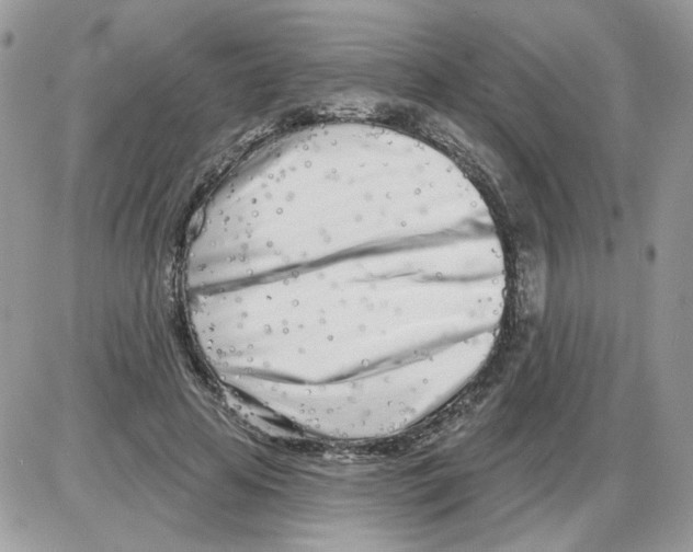 X0000086100641200704202242