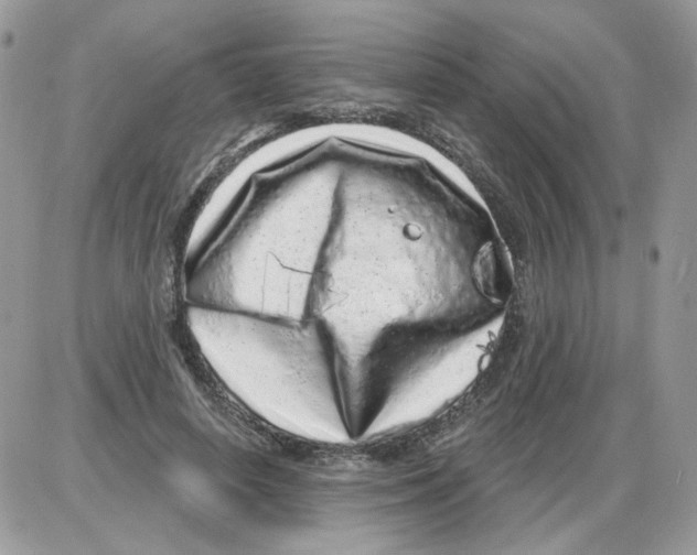 X0000086100642200704202242