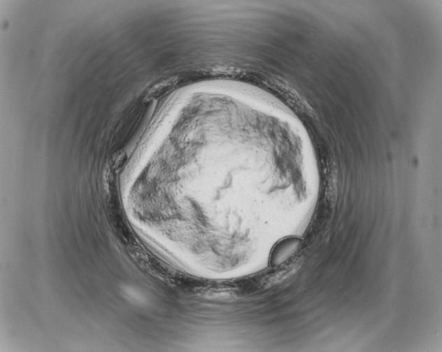 X0000086100643200704202242