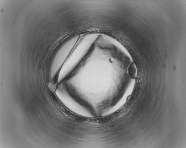 X0000086100648200704202242