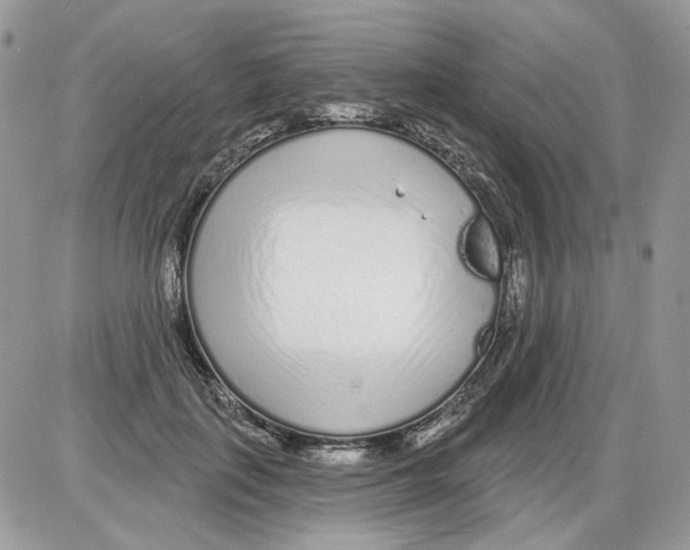 X0000086100651200704202242