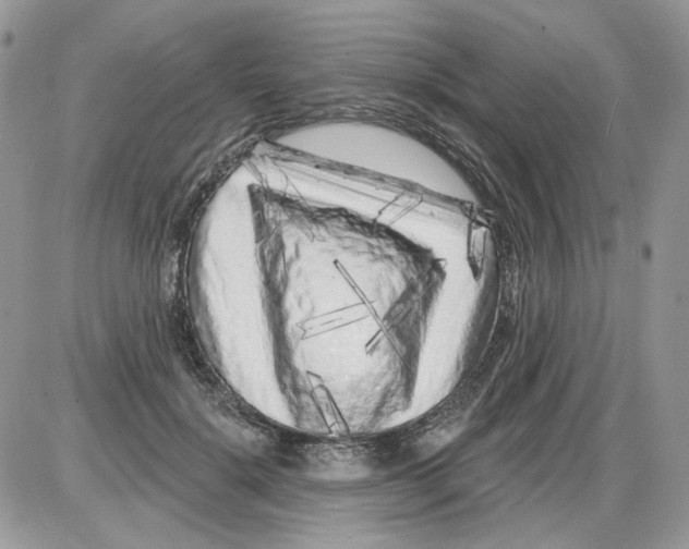 X0000086100652200704202242