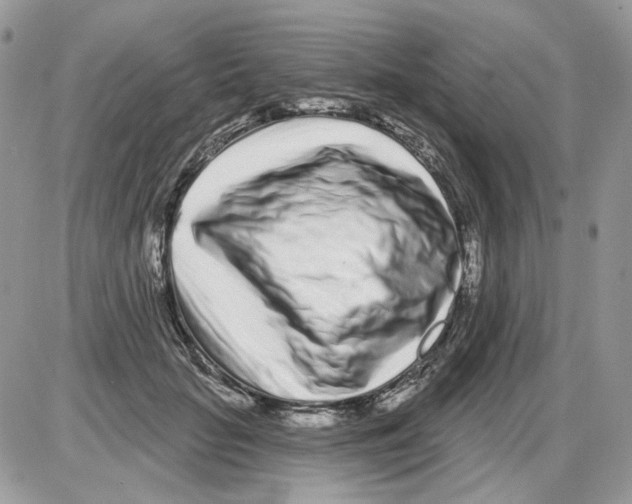 X0000086100653200704202242